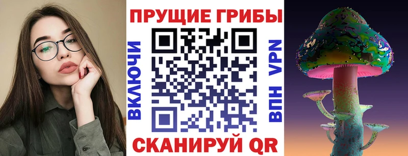 Галлюциногенные грибы Psilocybine cubensis Купить закладки Белогорск
